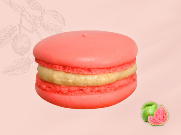 Caixa Natal com 5 macarons